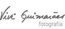 Viviane Guimares Gelman