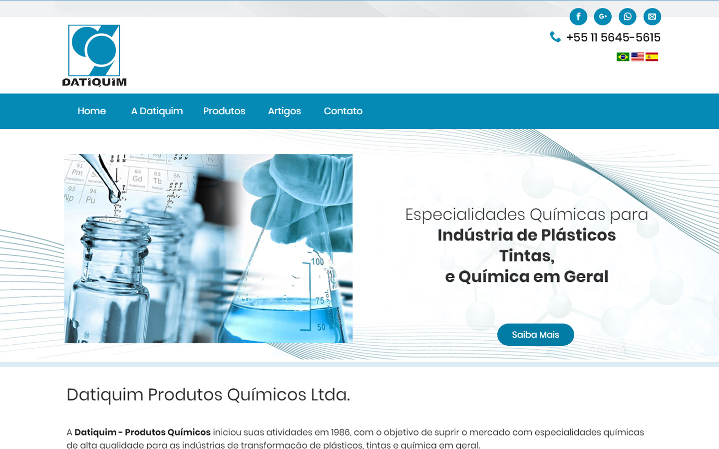 Criao de Site para Empresa de Produtos Qumicos Datiquim
